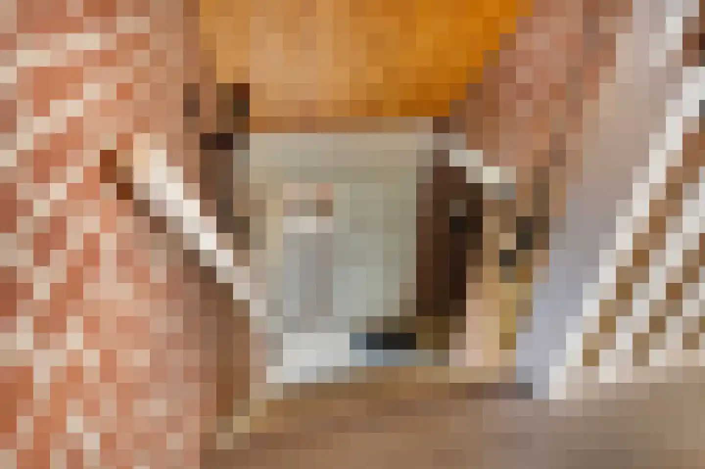 Bonenkamp 19 Rekken thumbnail 23