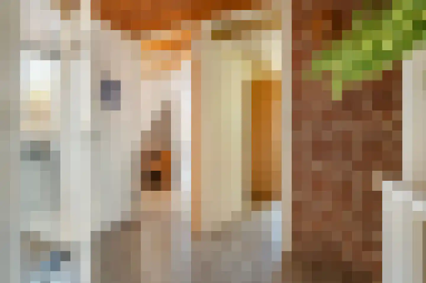 Bonenkamp 19 Rekken thumbnail 24