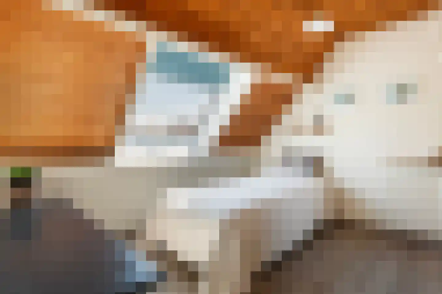 Bonenkamp 19 Rekken thumbnail 28