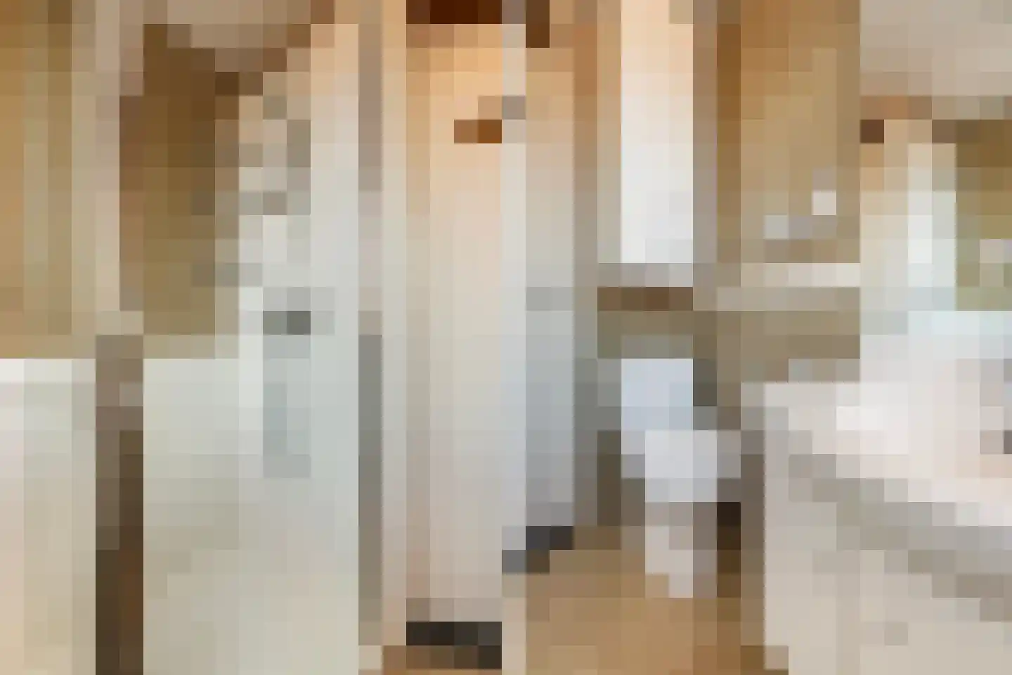 Bonenkamp 19 Rekken thumbnail 35