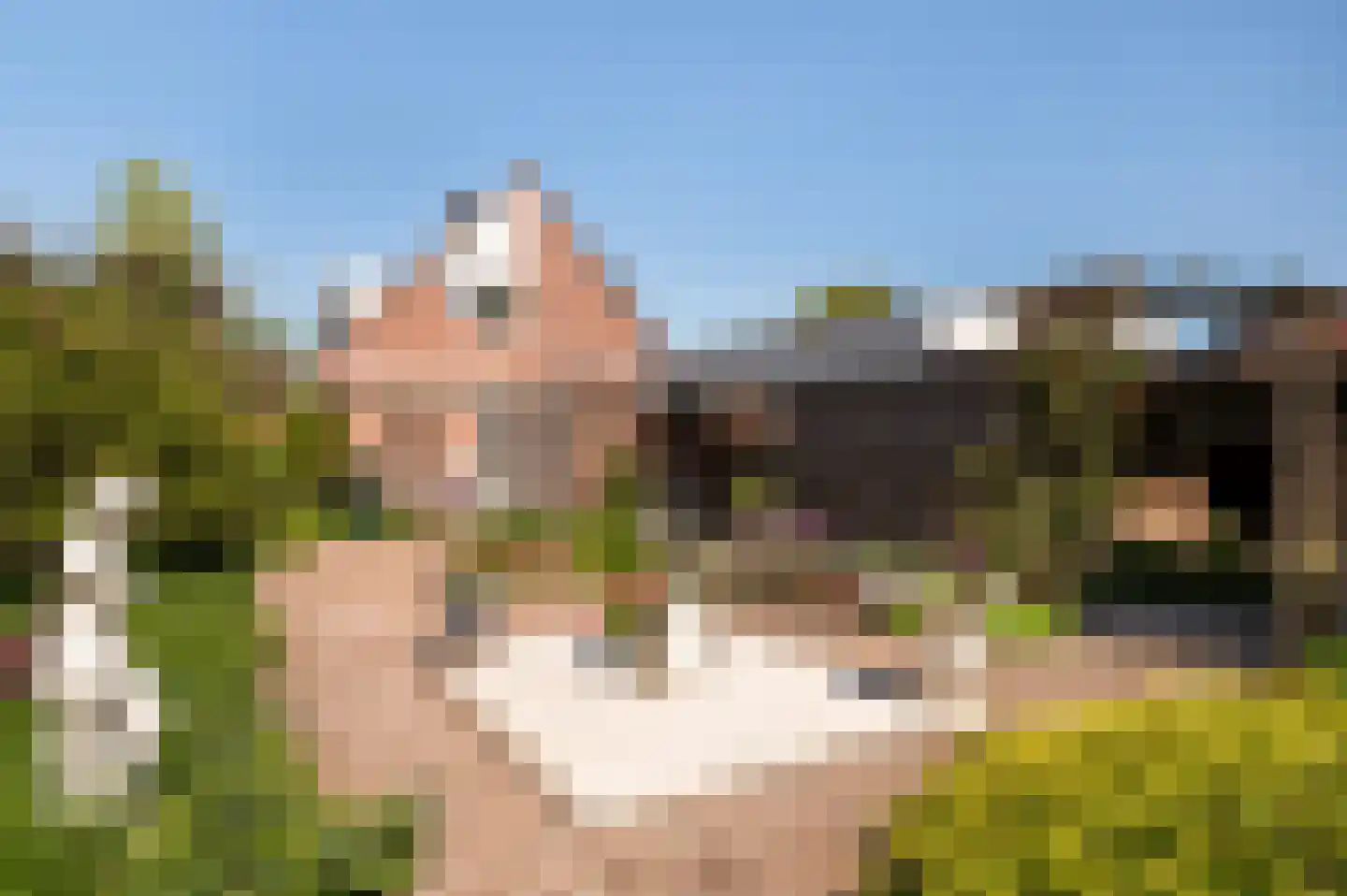 Bonenkamp 19 Rekken thumbnail 36