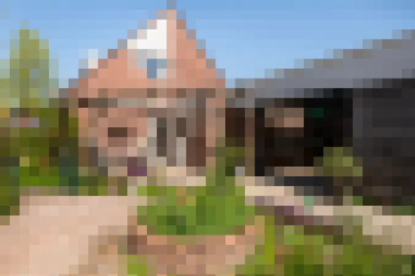 Bonenkamp 19 Rekken thumbnail 37