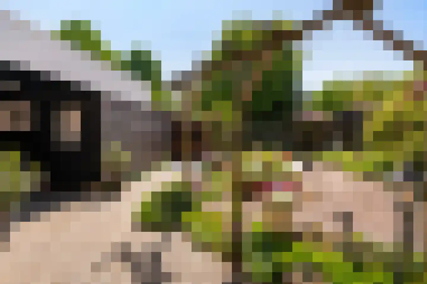 Bonenkamp 19 Rekken thumbnail 42