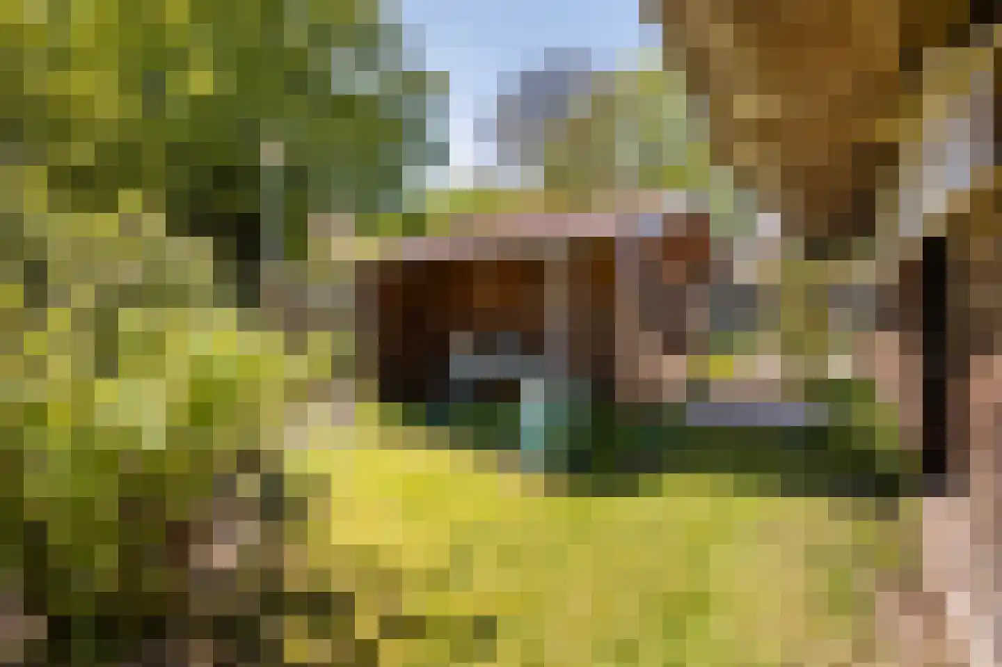 Bonenkamp 19 Rekken thumbnail 43