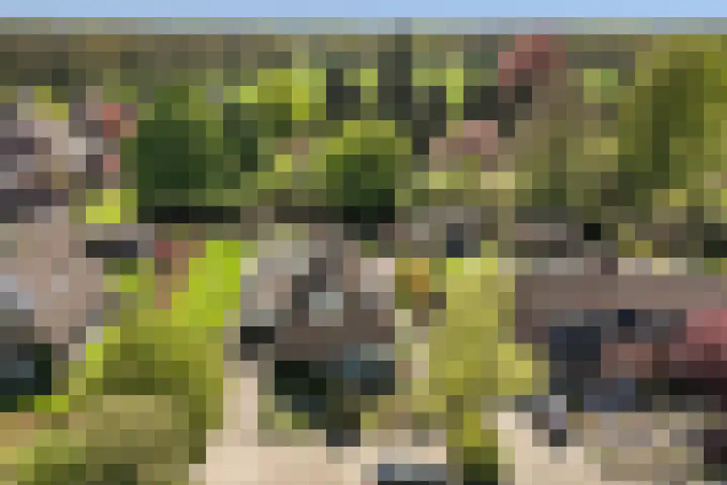 Bonenkamp 19 Rekken thumbnail 44