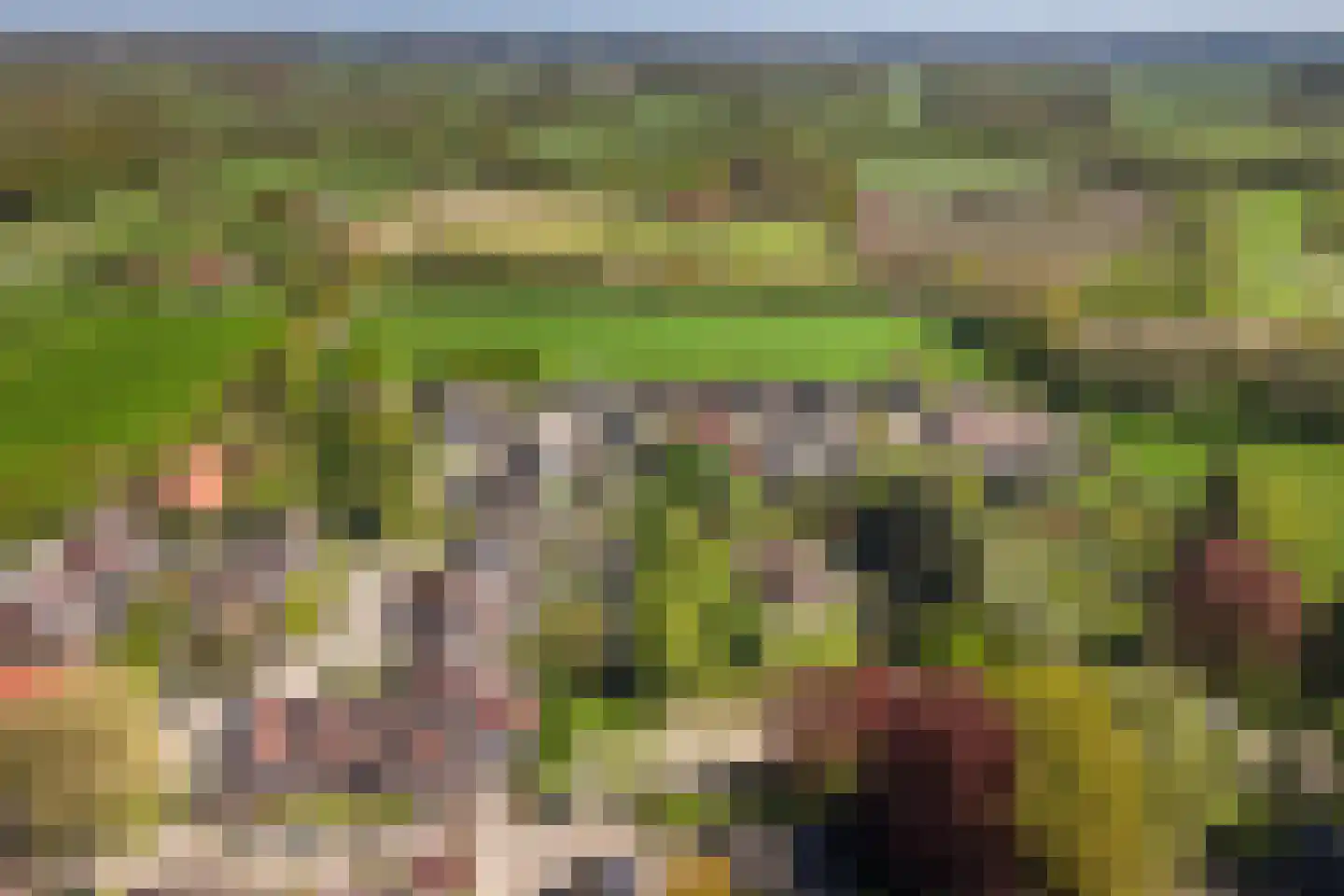 Bonenkamp 19 Rekken thumbnail 49