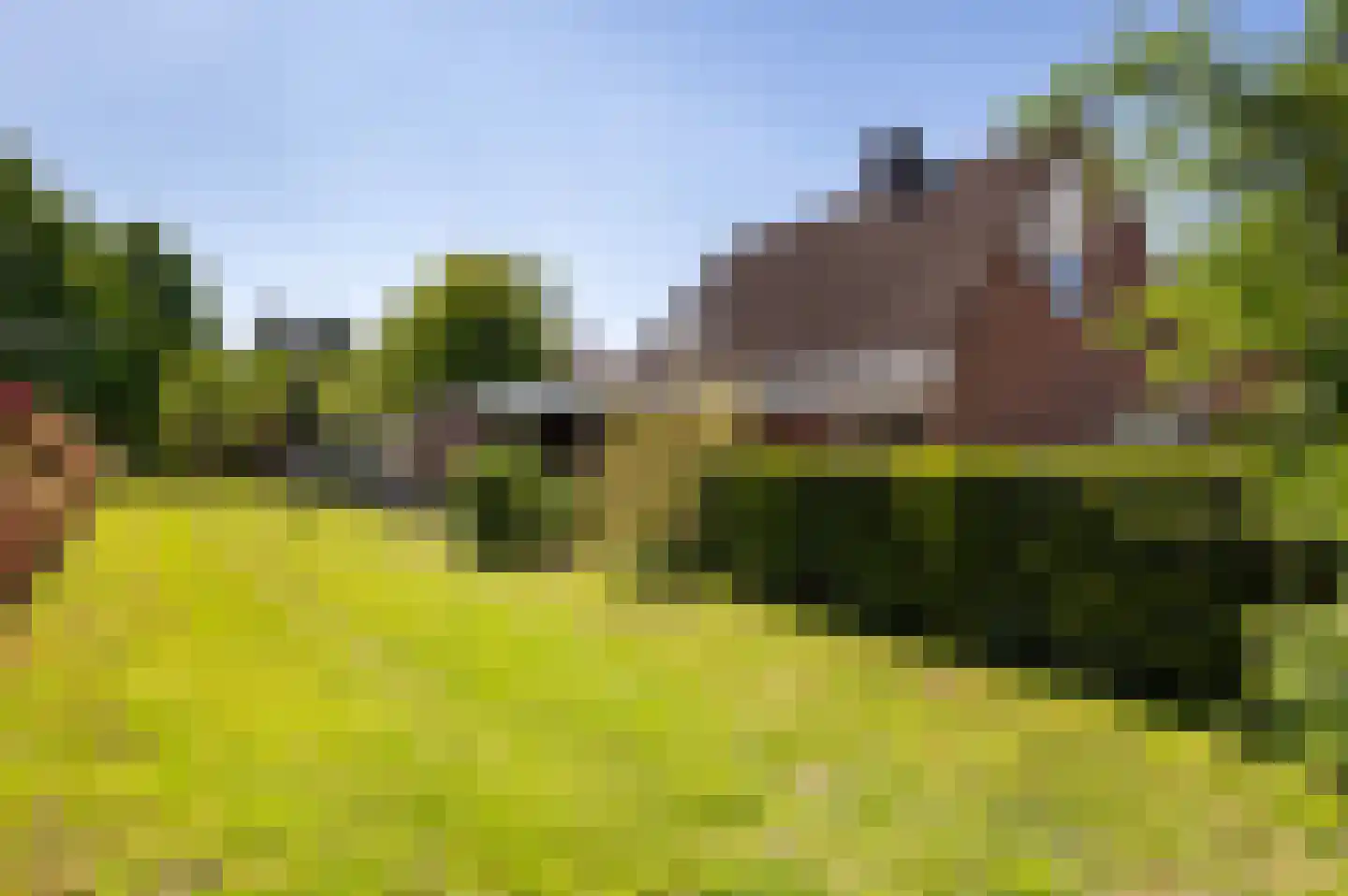Bonenkamp 19 Rekken thumbnail 6
