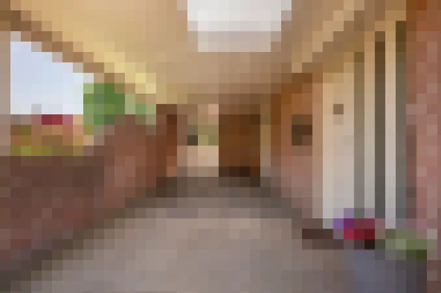 Bonenkamp 19 Rekken thumbnail 8