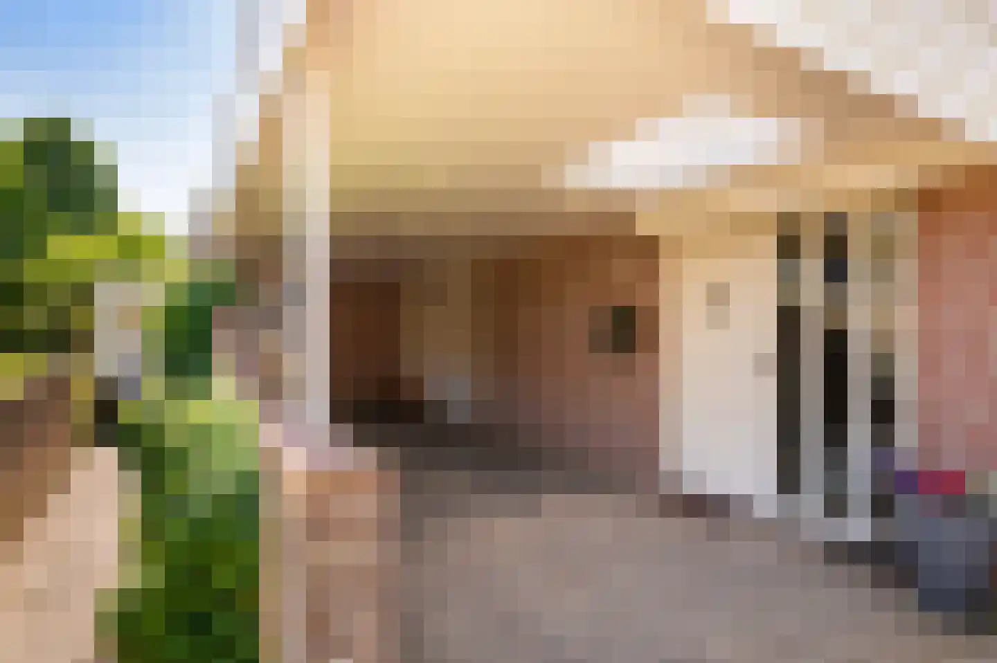 Bonenkamp 19 Rekken thumbnail 9