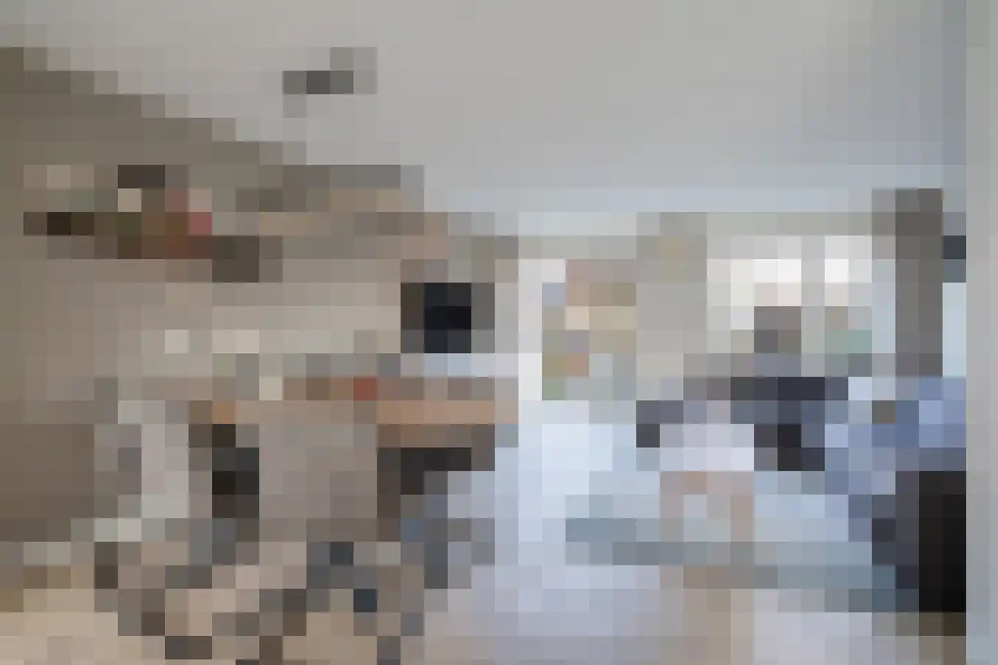 Bonenkruidpad 14 Wateringen thumbnail 11