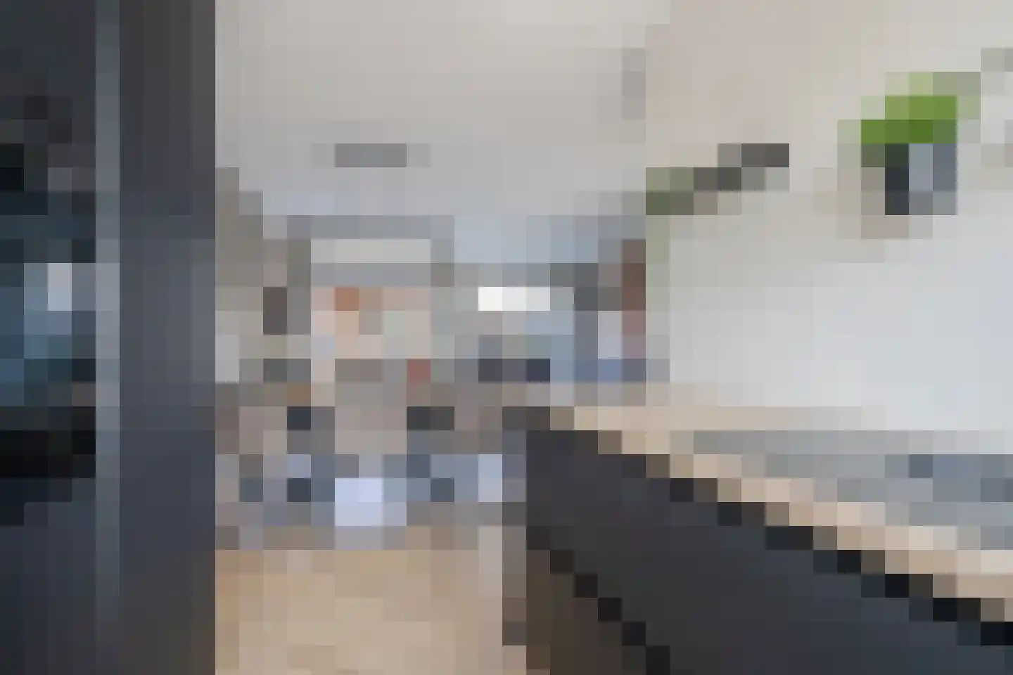 Bonenkruidpad 14 Wateringen thumbnail 15