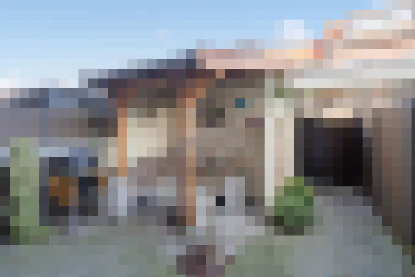 Bonenkruidpad 14 Wateringen thumbnail 16