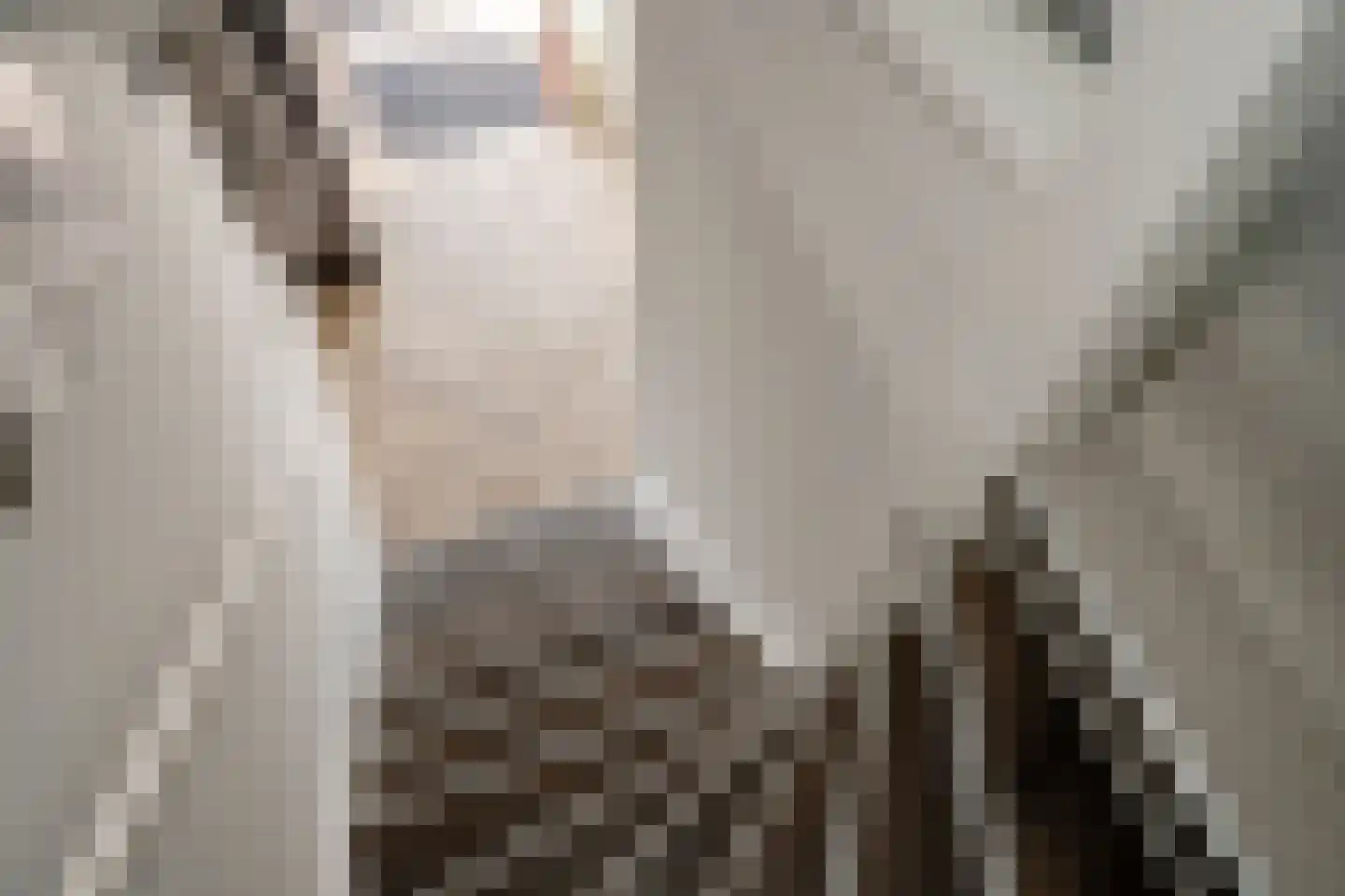 Bonenkruidpad 14 Wateringen thumbnail 18