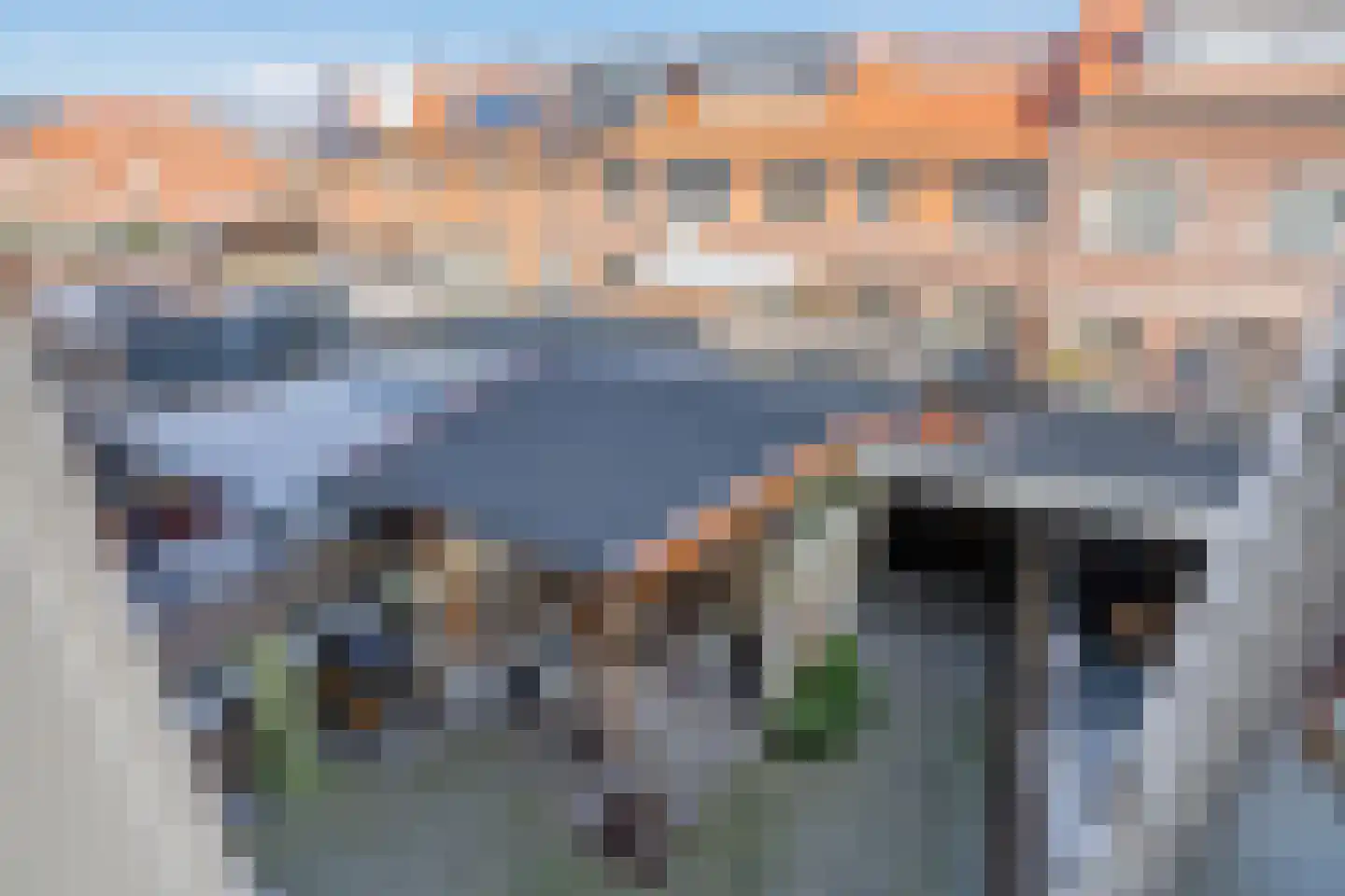 Bonenkruidpad 14 Wateringen thumbnail 28