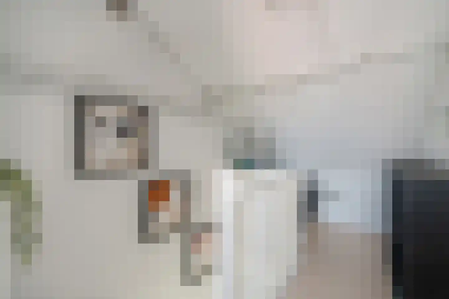 Bonenkruidpad 14 Wateringen thumbnail 34
