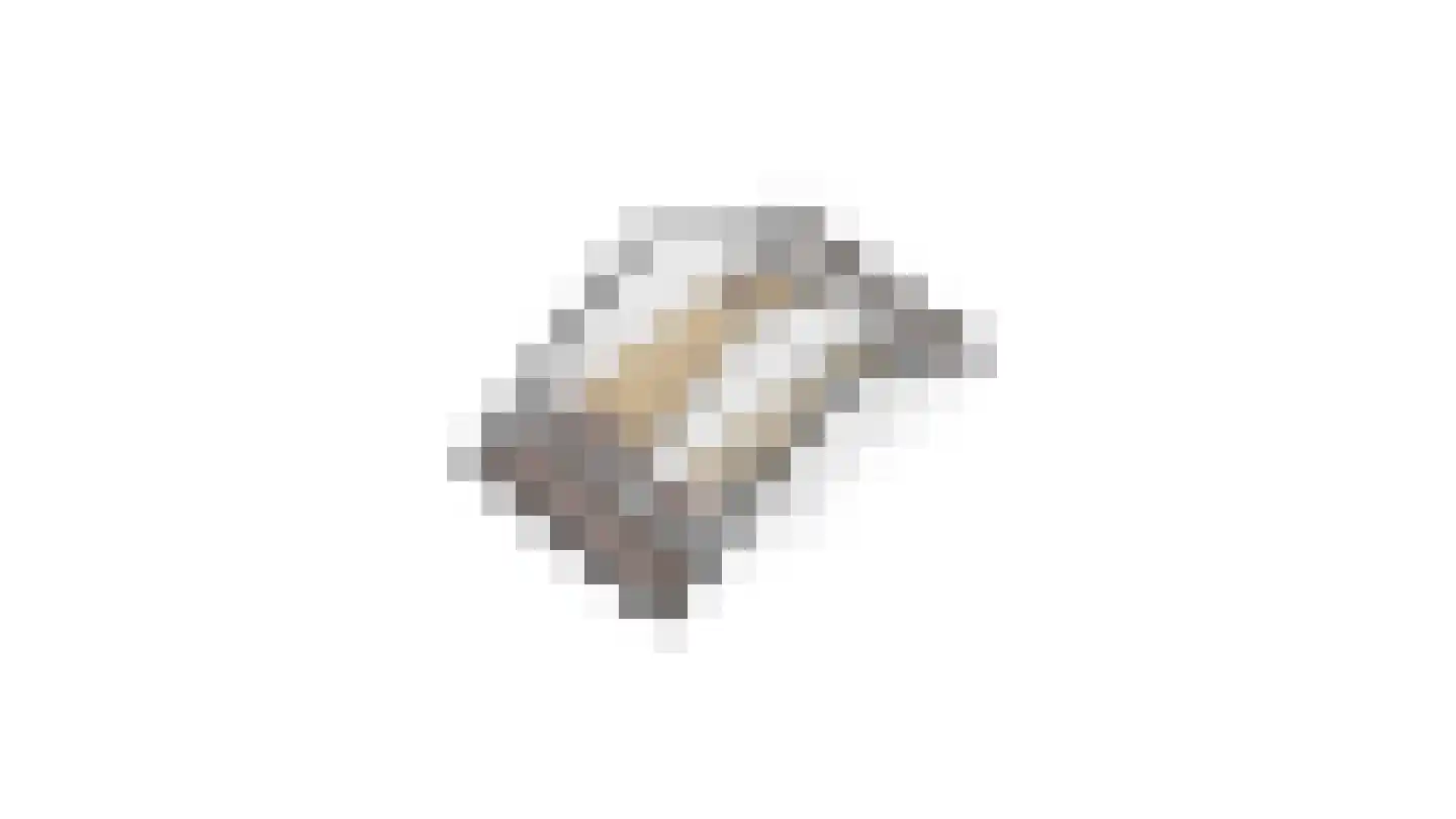 Bonenkruidpad 14 Wateringen thumbnail 41