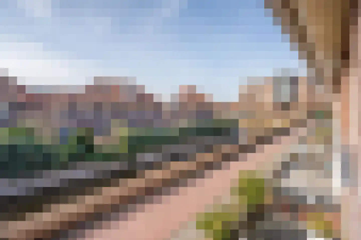 Bonenkruidpad 14 Wateringen thumbnail 7