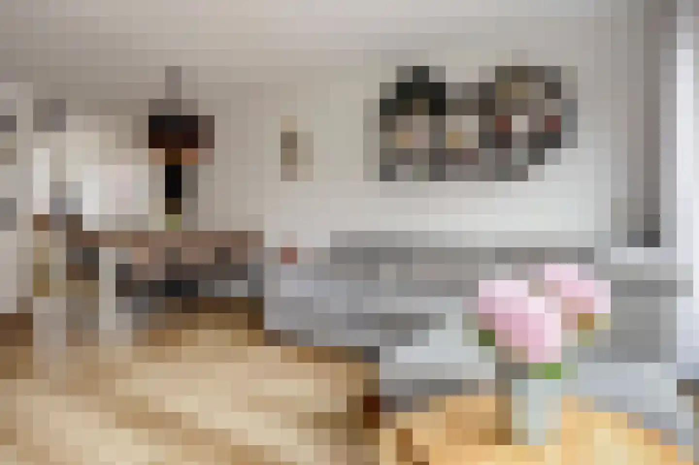 Bonenkruidpad 15 Wateringen thumbnail 12
