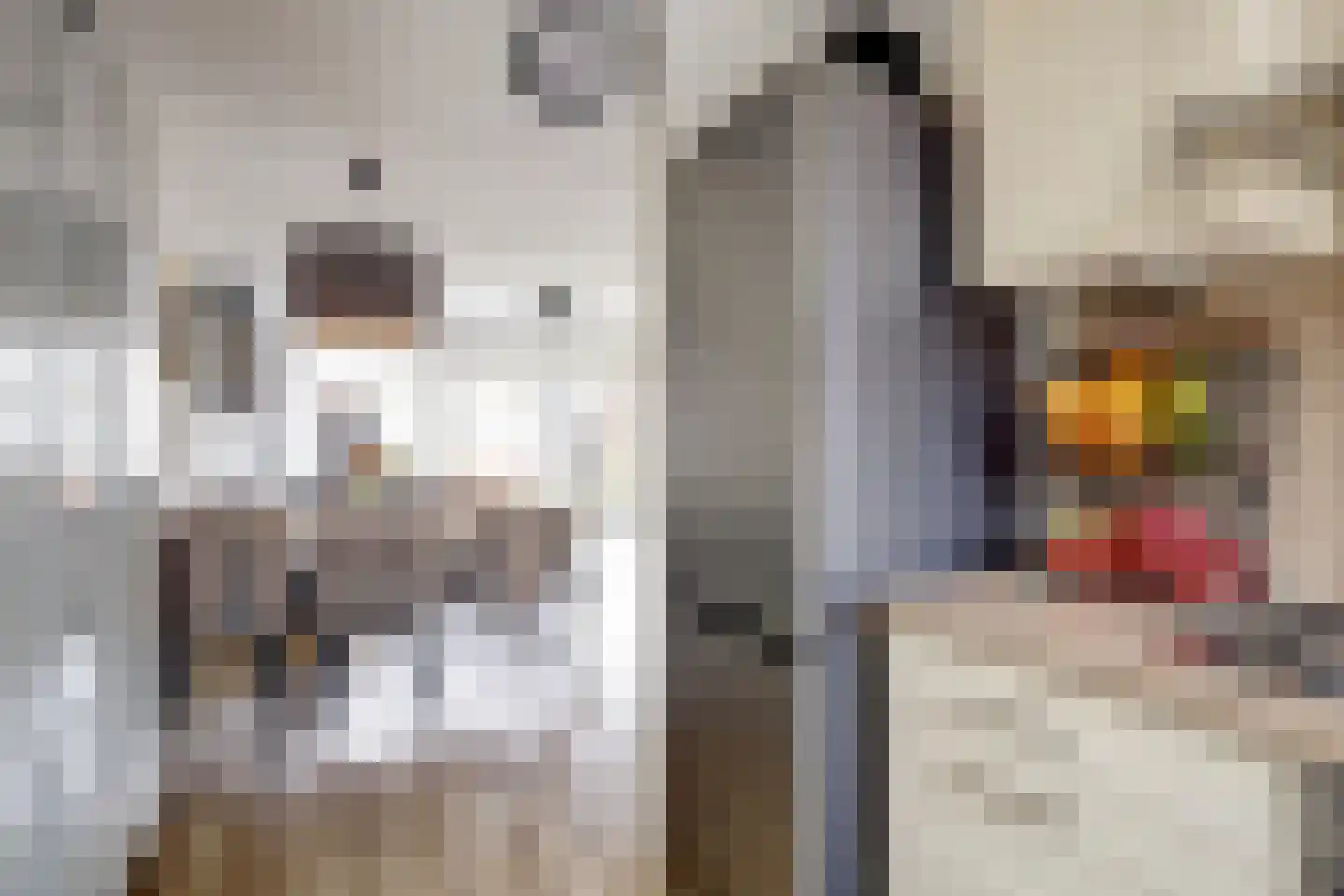 Bonenkruidpad 15 Wateringen thumbnail 15