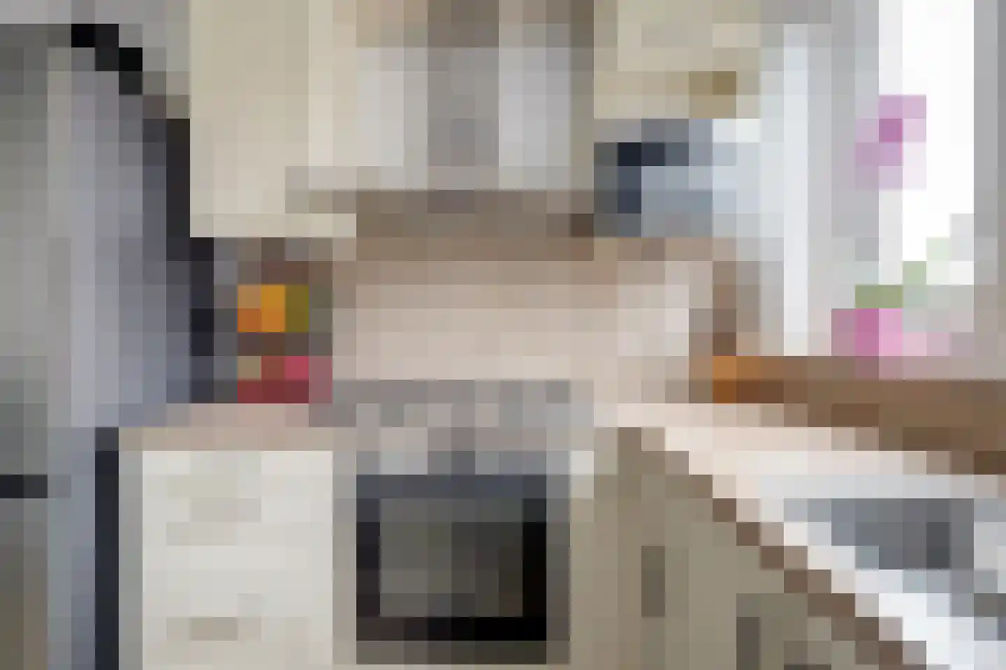 Bonenkruidpad 15 Wateringen thumbnail 17