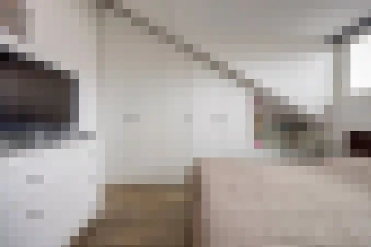 Bonenkruidpad 15 Wateringen thumbnail 30
