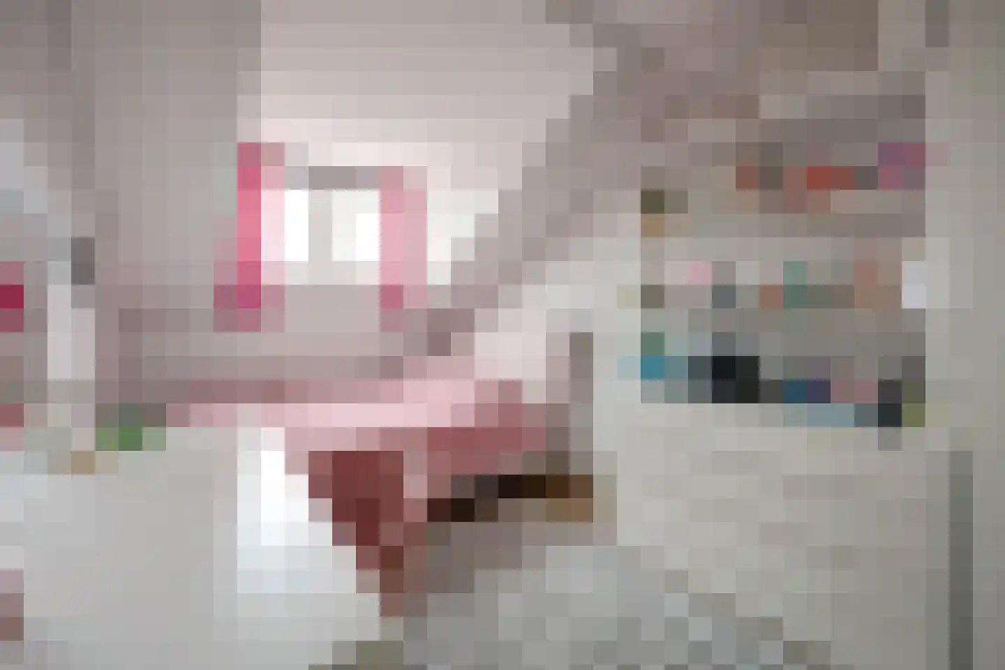 Bonenkruidpad 15 Wateringen thumbnail 33