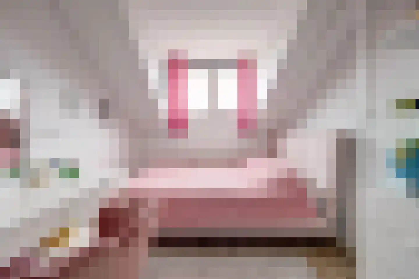 Bonenkruidpad 15 Wateringen thumbnail 34