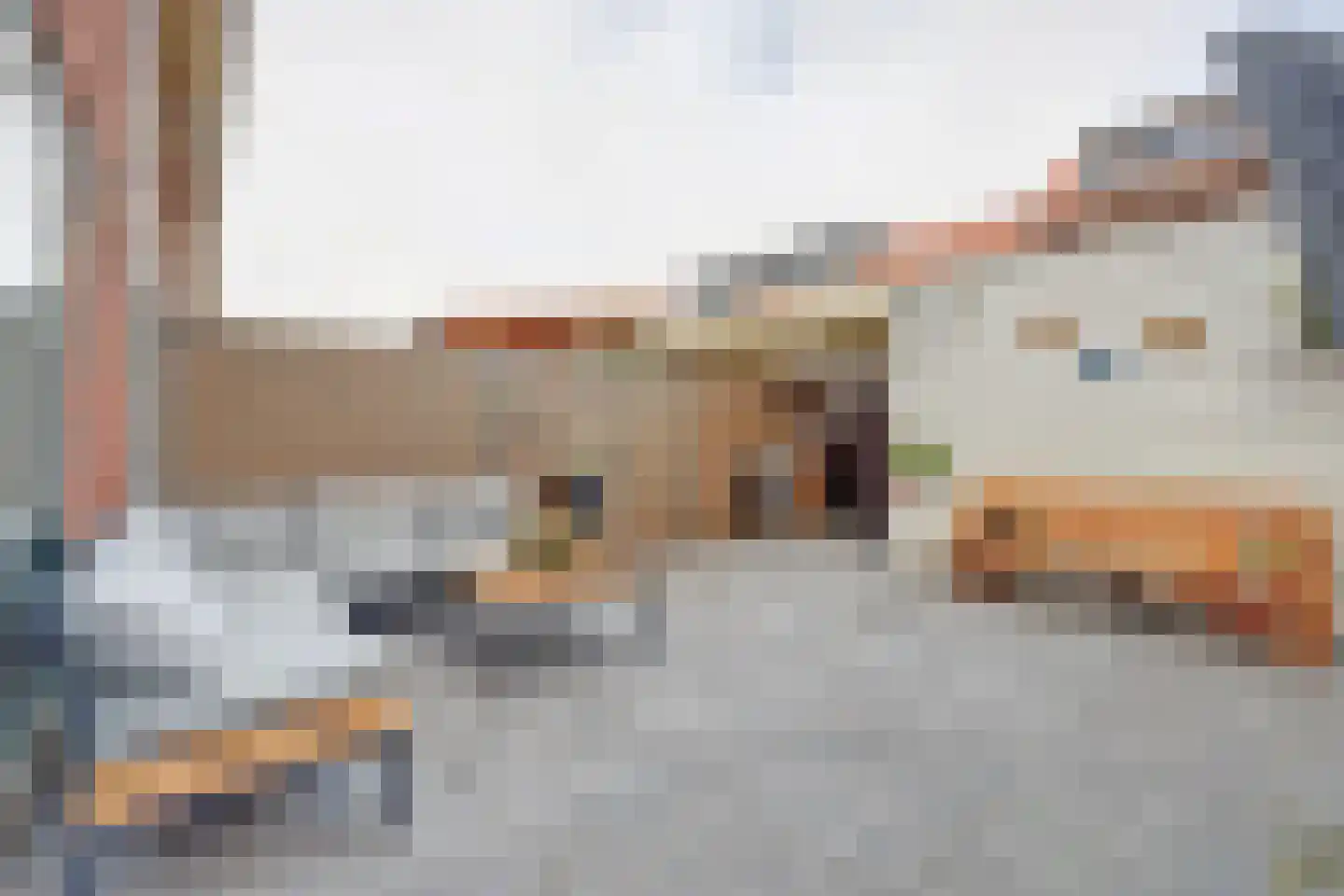 Bonenkruidpad 15 Wateringen thumbnail 38