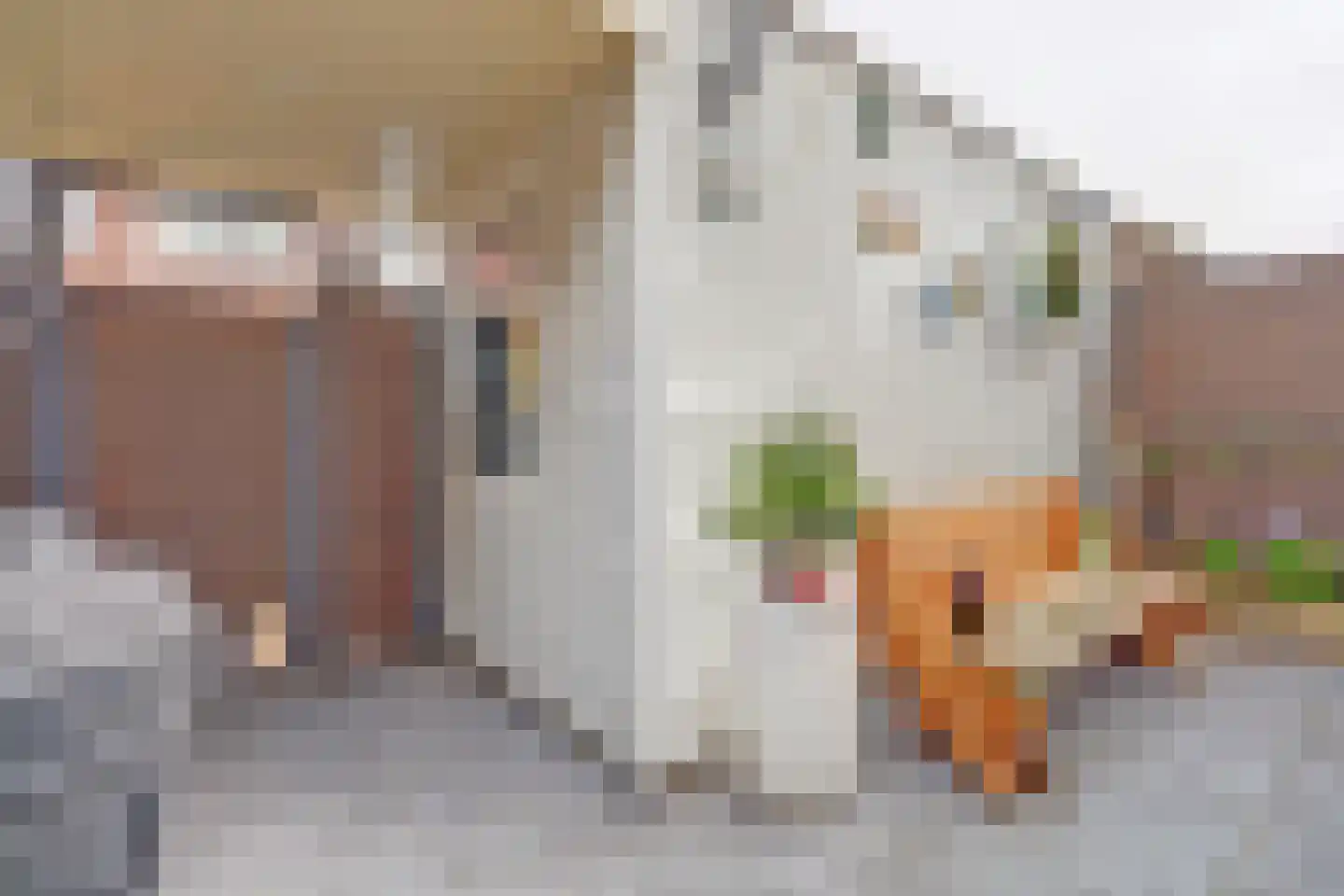 Bonenkruidpad 15 Wateringen thumbnail 40