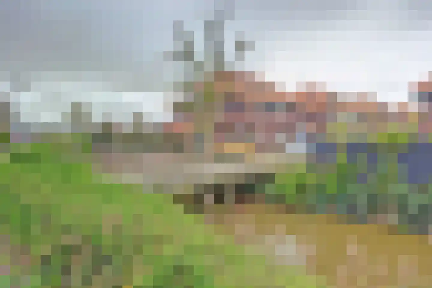 Bonenkruidpad 15 Wateringen thumbnail 41