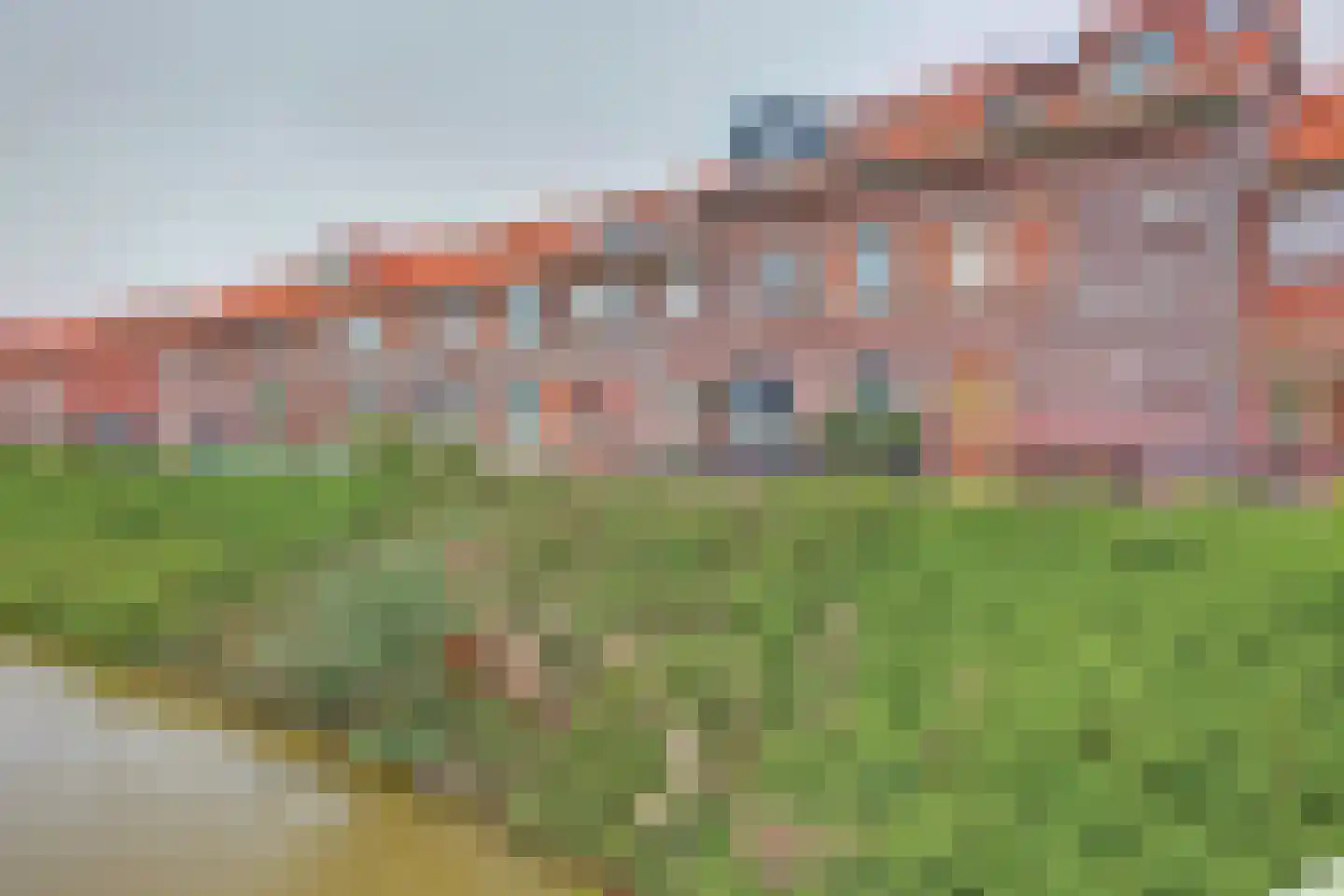 Bonenkruidpad 15 Wateringen thumbnail 42