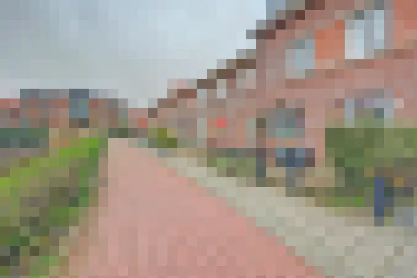 Bonenkruidpad 15 Wateringen thumbnail 43