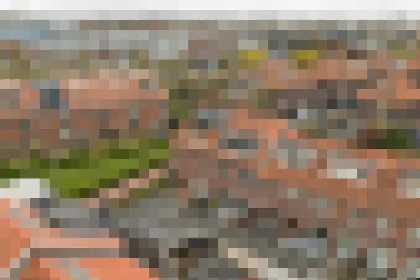 Bonenkruidpad 15 Wateringen thumbnail 44