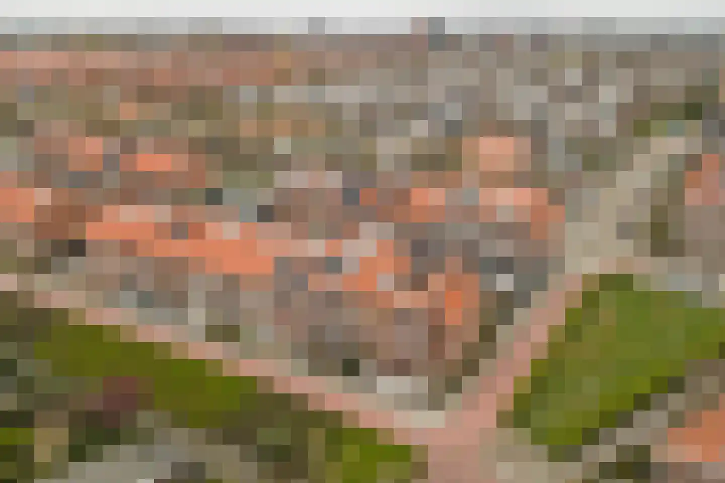 Bonenkruidpad 15 Wateringen thumbnail 45