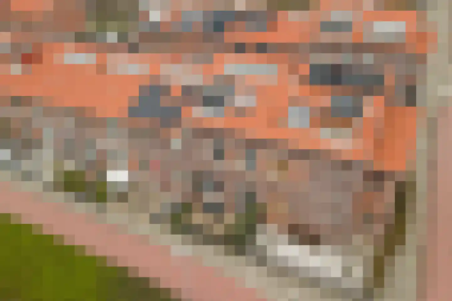Bonenkruidpad 15 Wateringen thumbnail 7