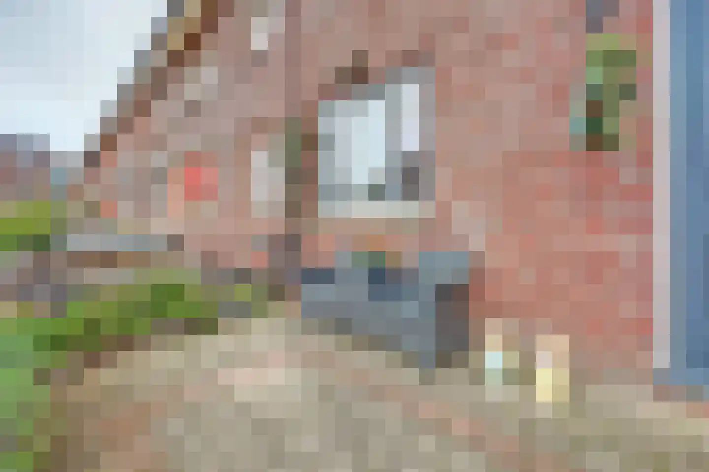Bonenkruidpad 15 Wateringen thumbnail 8