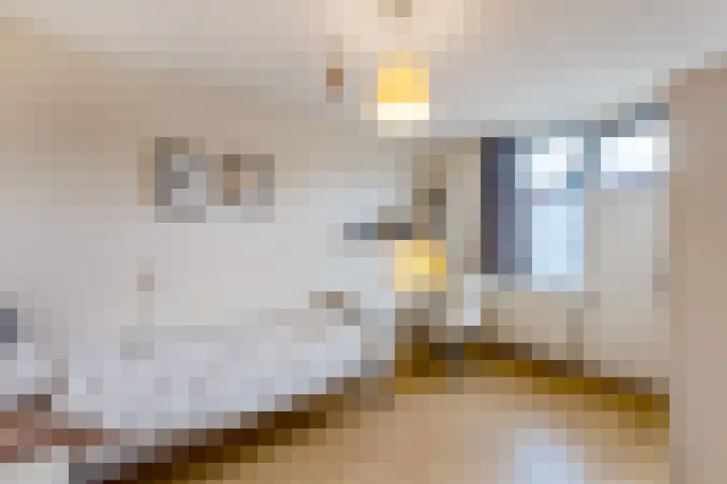 Bonenkruidstraat 14 Almere thumbnail 8