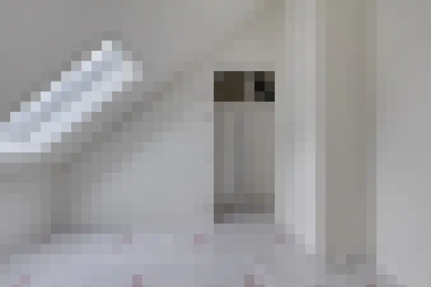 Bonestaak 2 Bergen op Zoom thumbnail 23