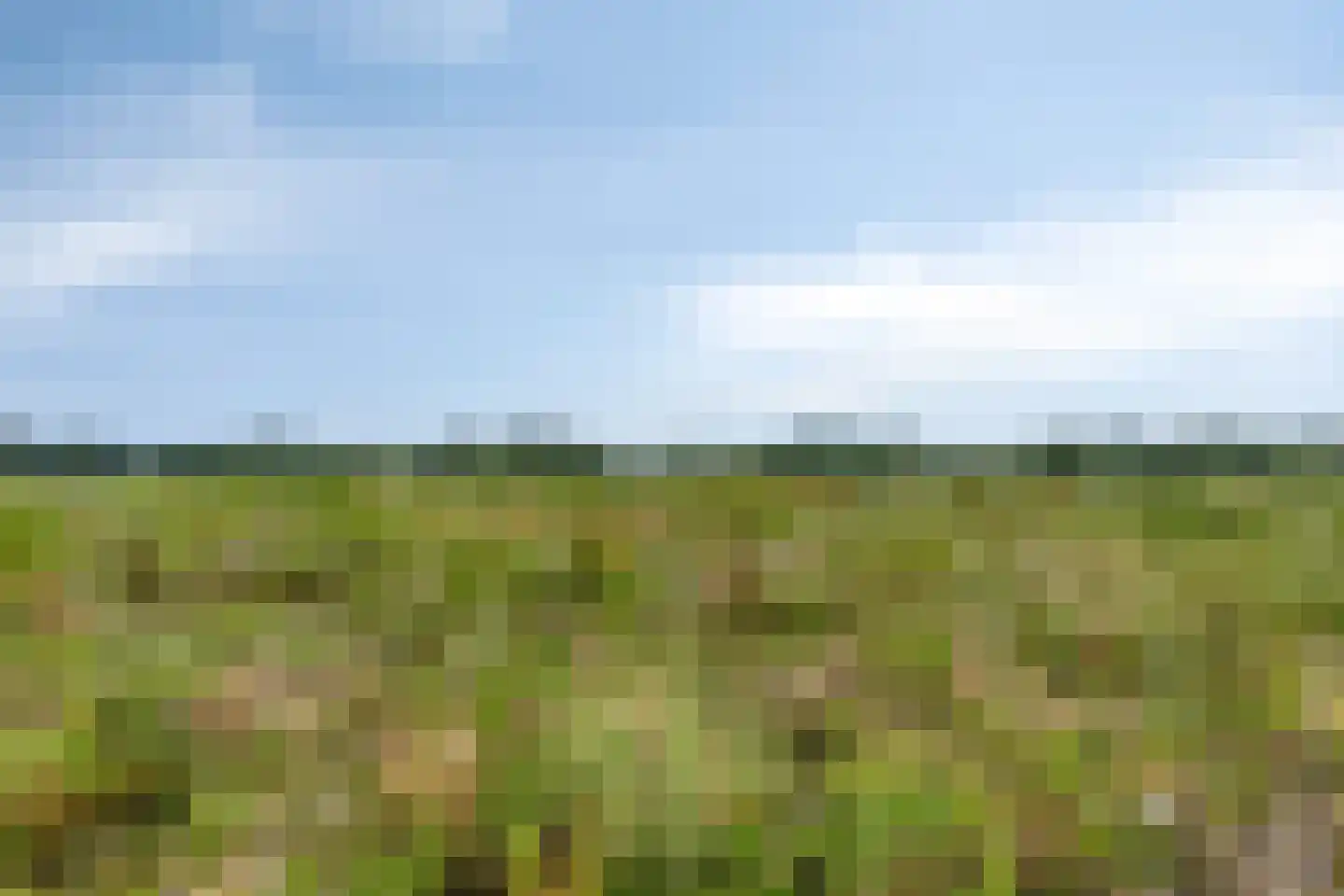 Bonestaak 2 Bergen op Zoom thumbnail 30
