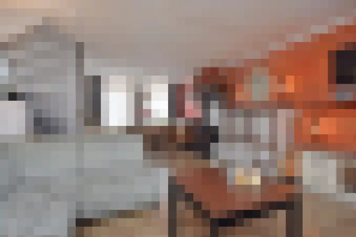 Bonfut 12 Berkel en Rodenrijs thumbnail 10