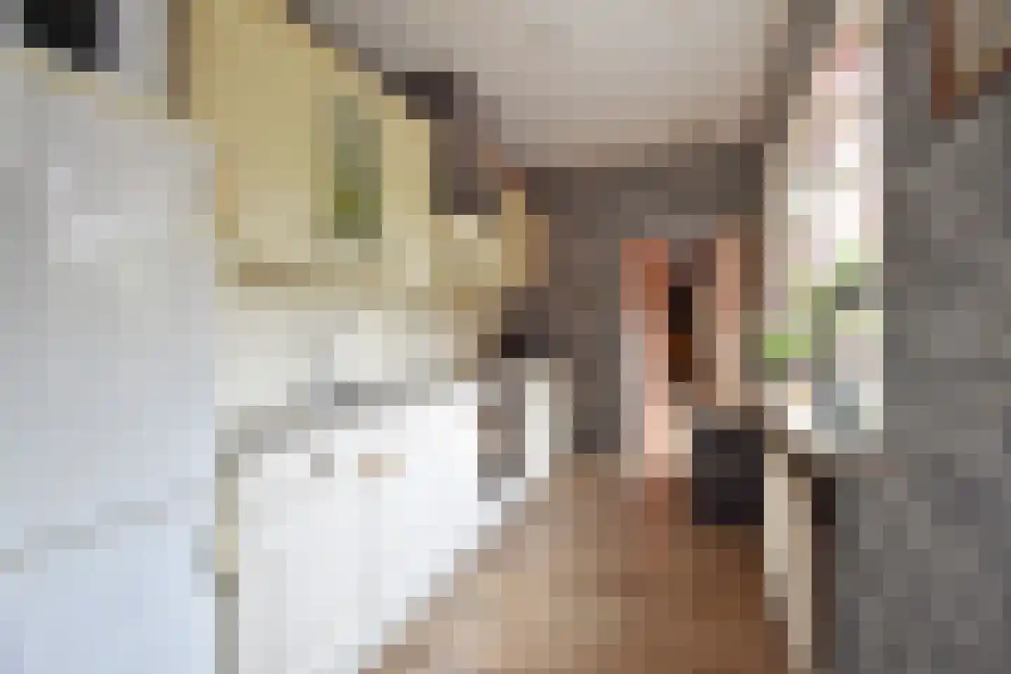 Bonfut 12 Berkel en Rodenrijs thumbnail 15