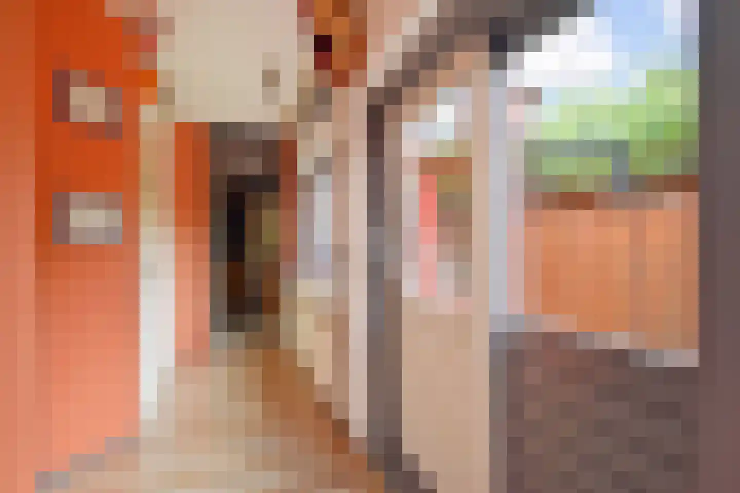 Bonfut 12 Berkel en Rodenrijs thumbnail 16