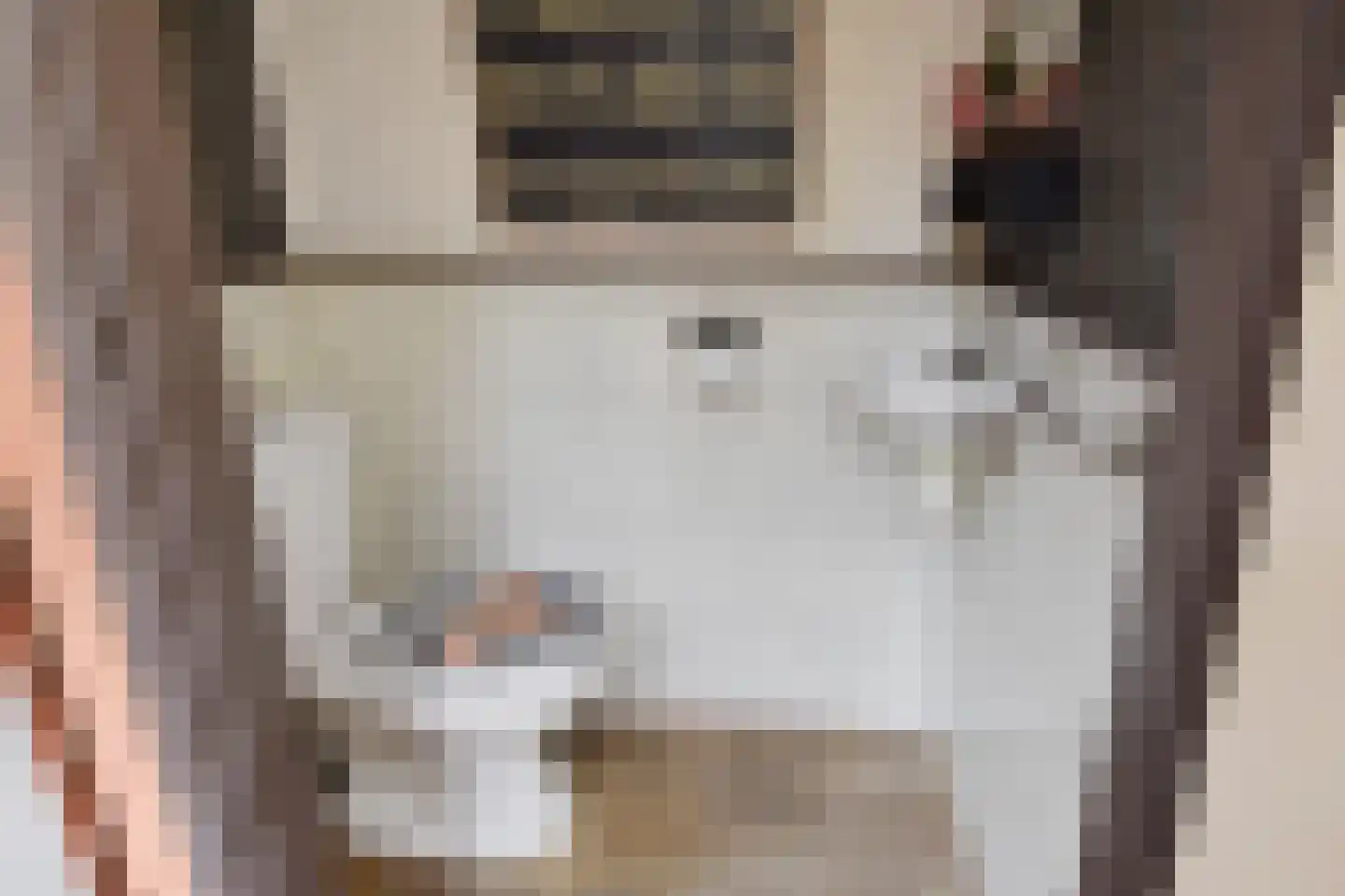 Bonfut 12 Berkel en Rodenrijs thumbnail 18
