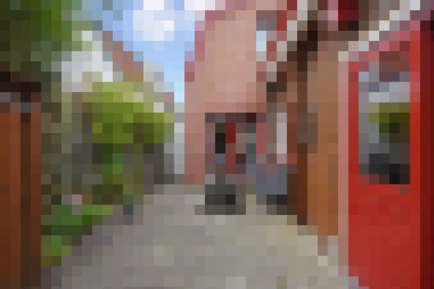 Bonfut 12 Berkel en Rodenrijs thumbnail 24