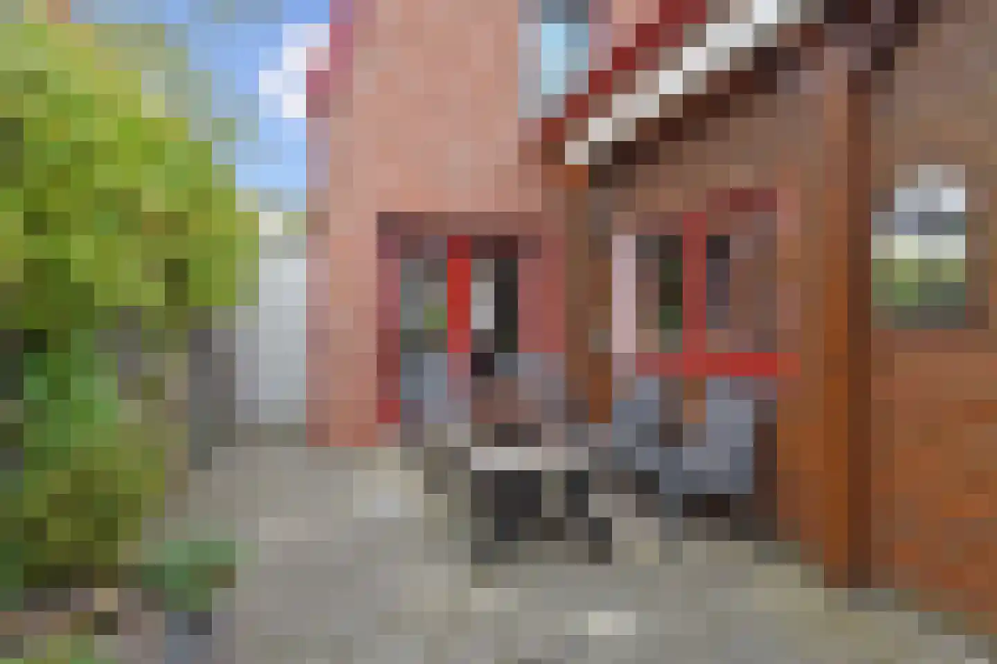Bonfut 12 Berkel en Rodenrijs thumbnail 25