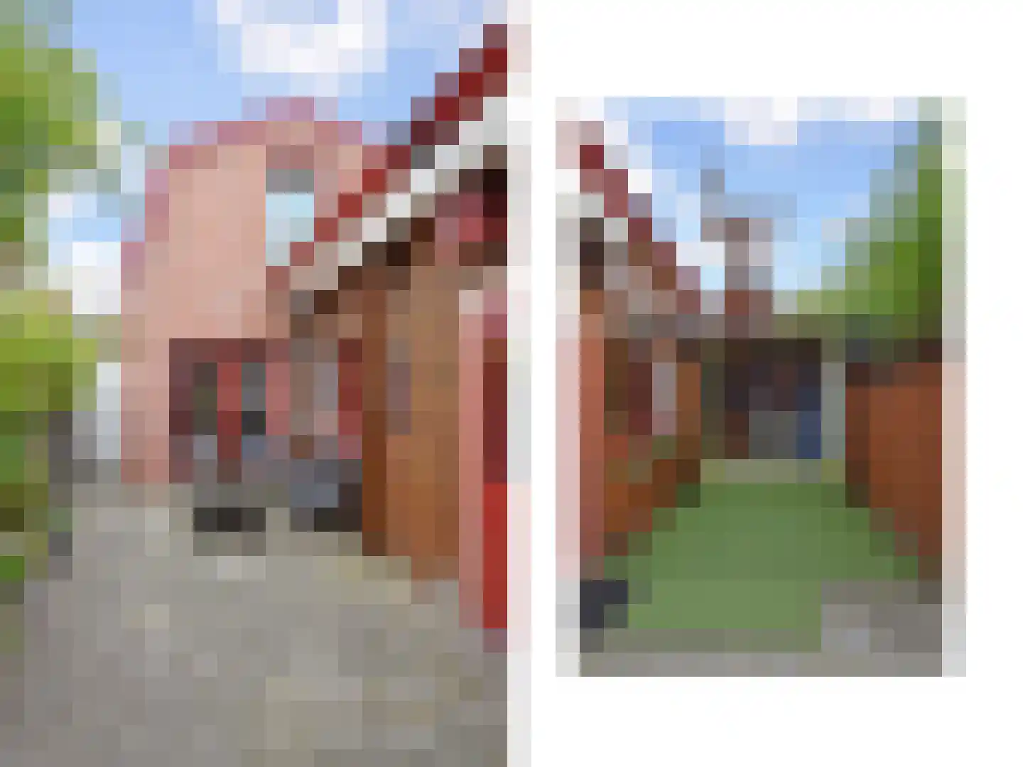 Bonfut 12 Berkel en Rodenrijs thumbnail 26