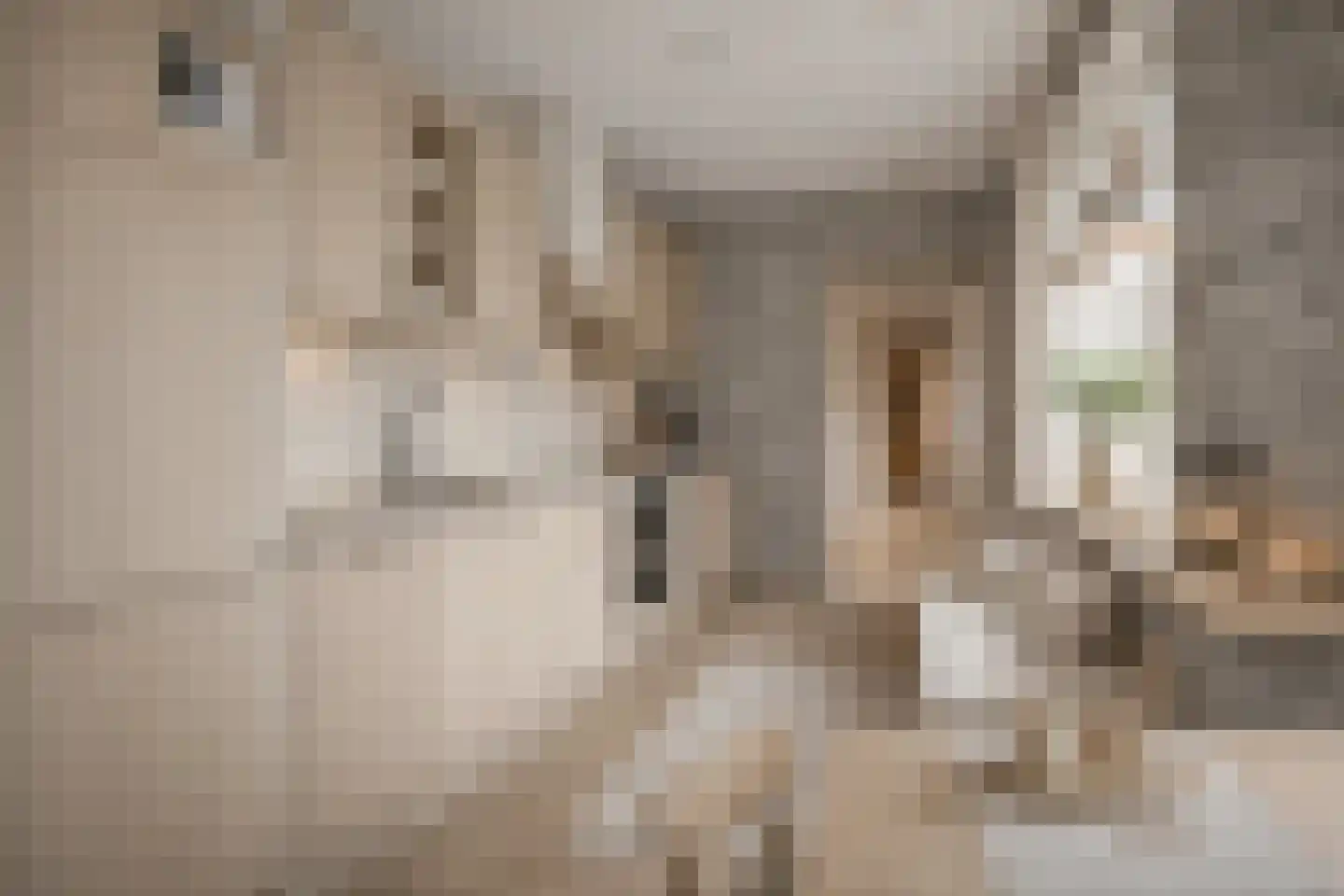 Bonfut 12 Berkel en Rodenrijs thumbnail 4