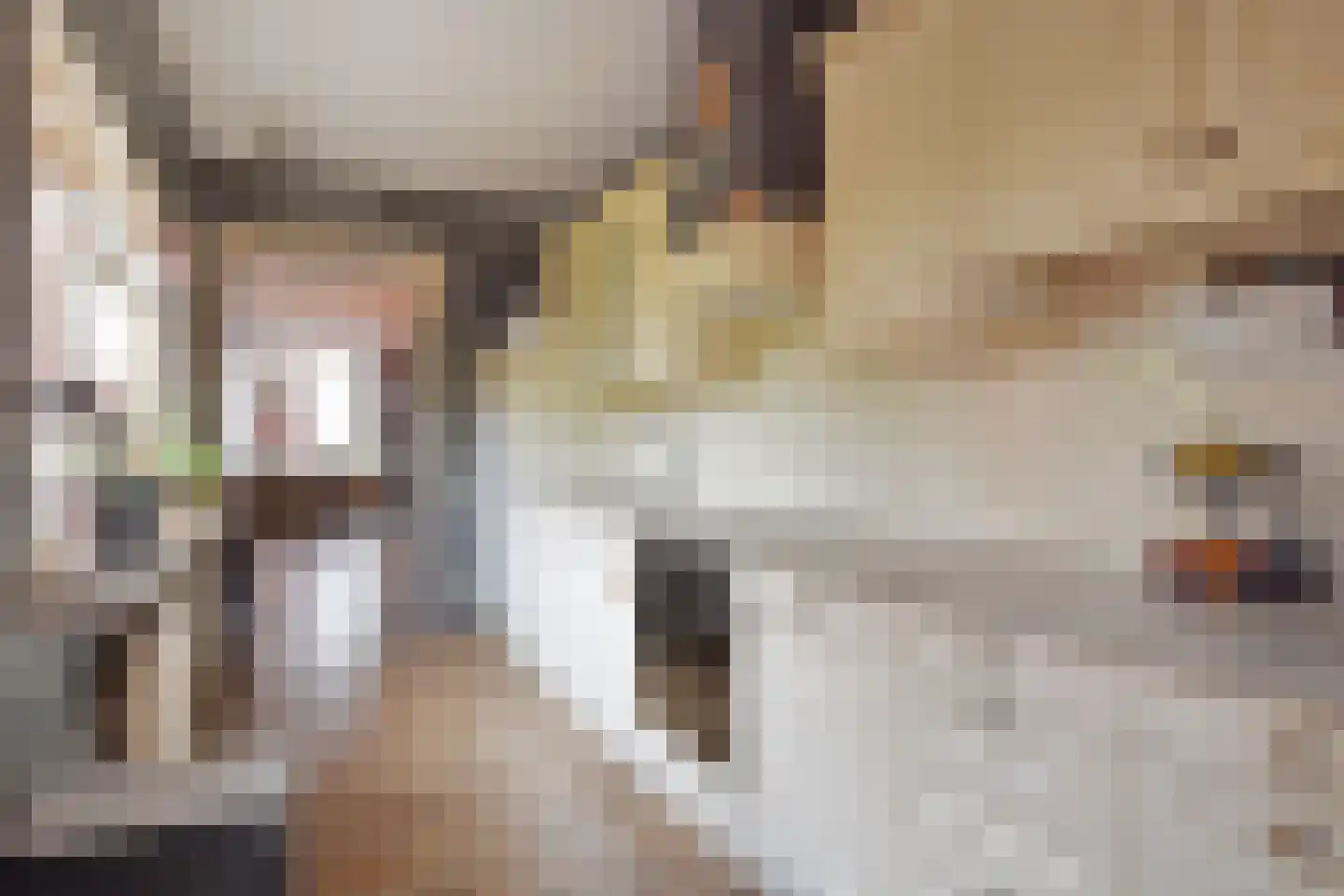 Bonfut 12 Berkel en Rodenrijs thumbnail 5