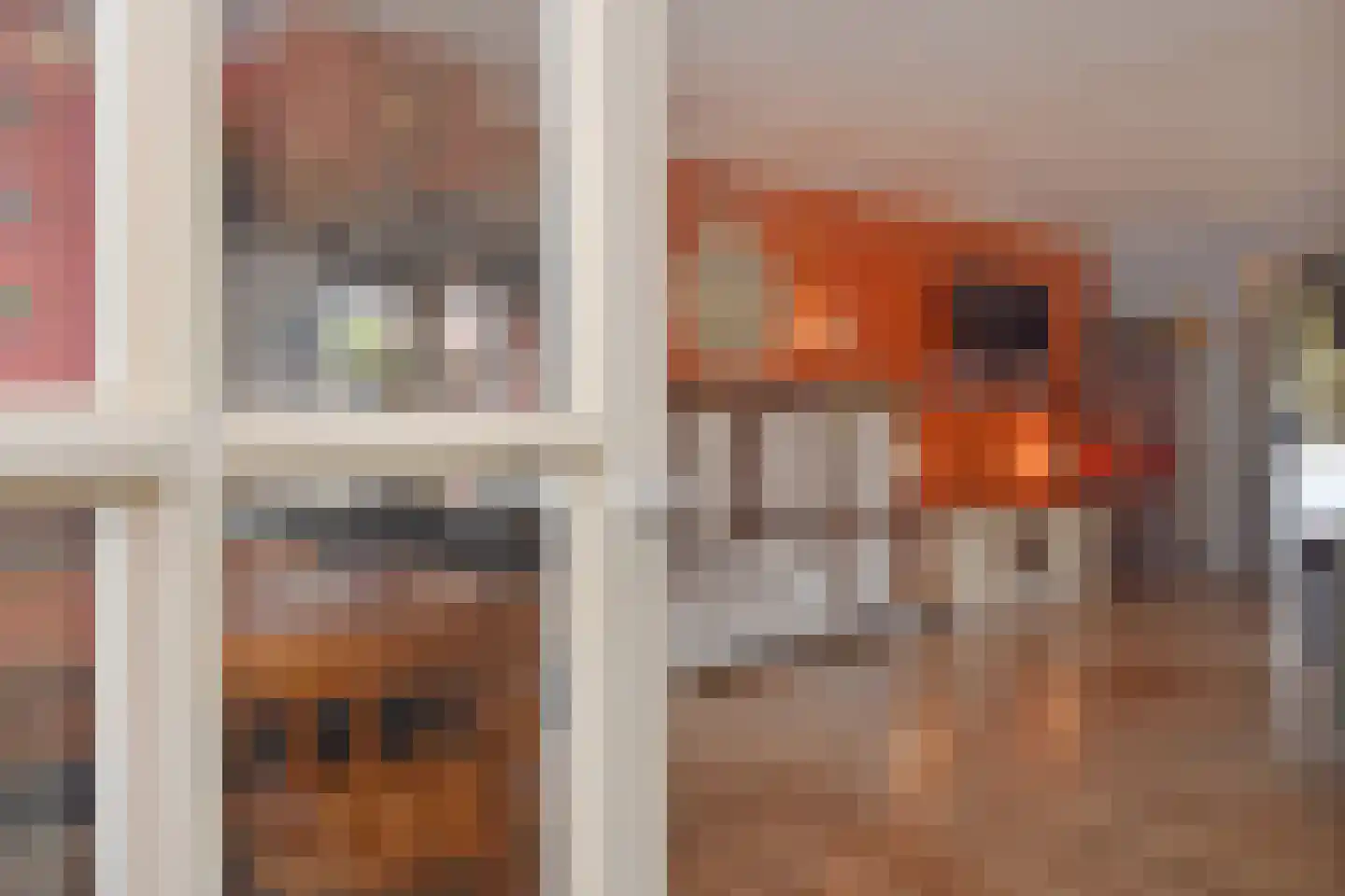 Bonfut 12 Berkel en Rodenrijs thumbnail 7