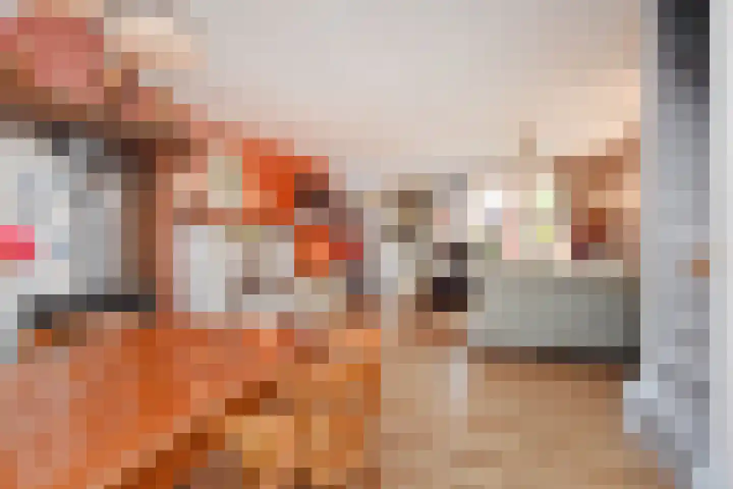 Bonfut 12 Berkel en Rodenrijs thumbnail 9